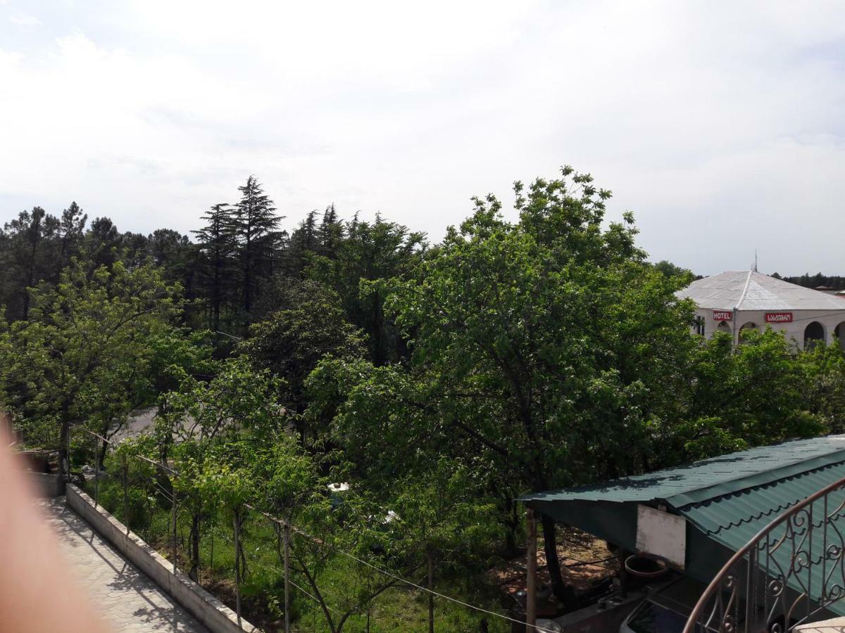 מלון קוטאיסי Sataplia District מראה חיצוני תמונה